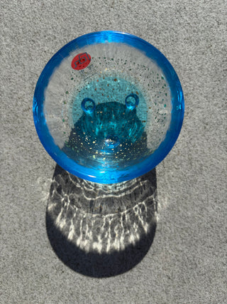 Mini Glass Sake Cups – Tsugaru Vidro